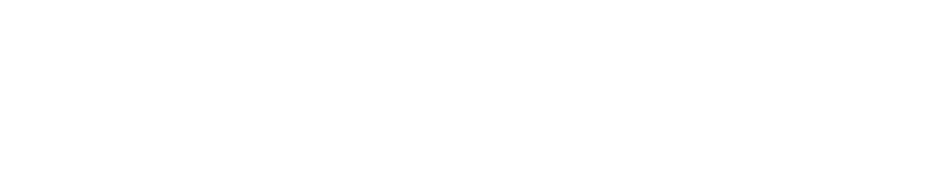 Dhruva Space